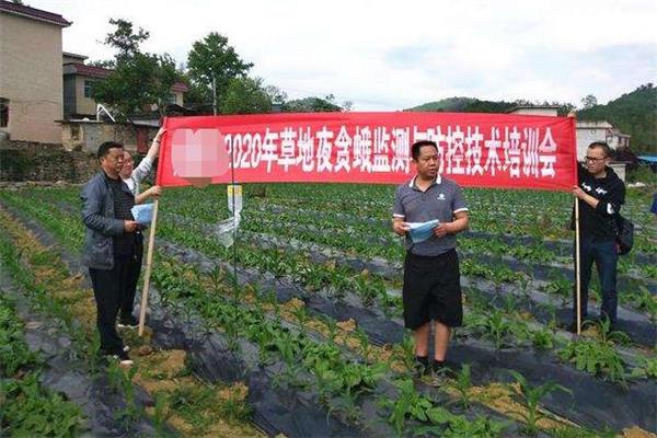 不想在外地打工?那就试试这些在农村比较吃香的行业