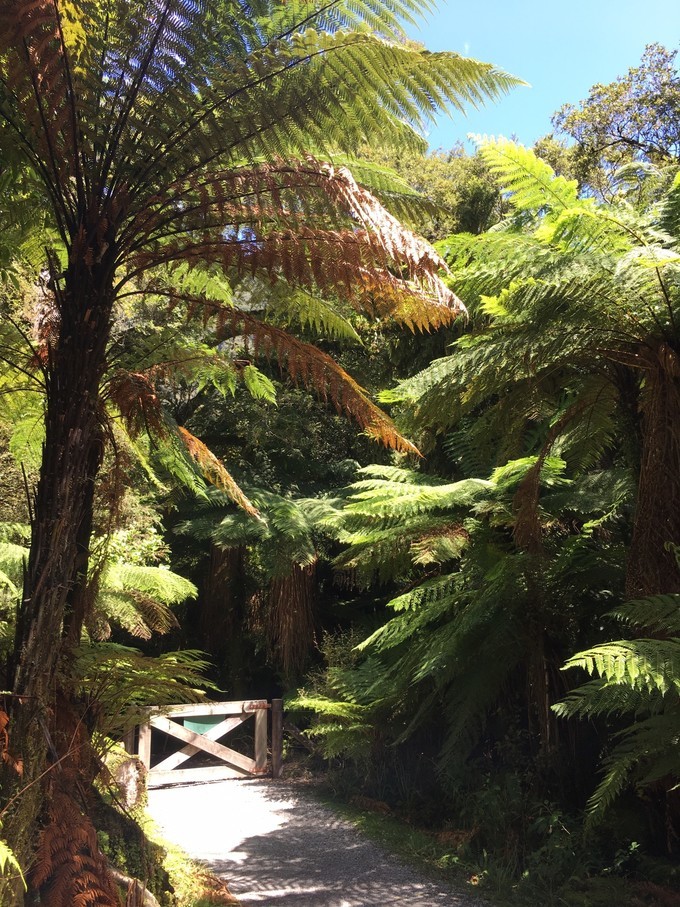 让你不用出门欣赏到美丽的风景,让你不出门你会待几天