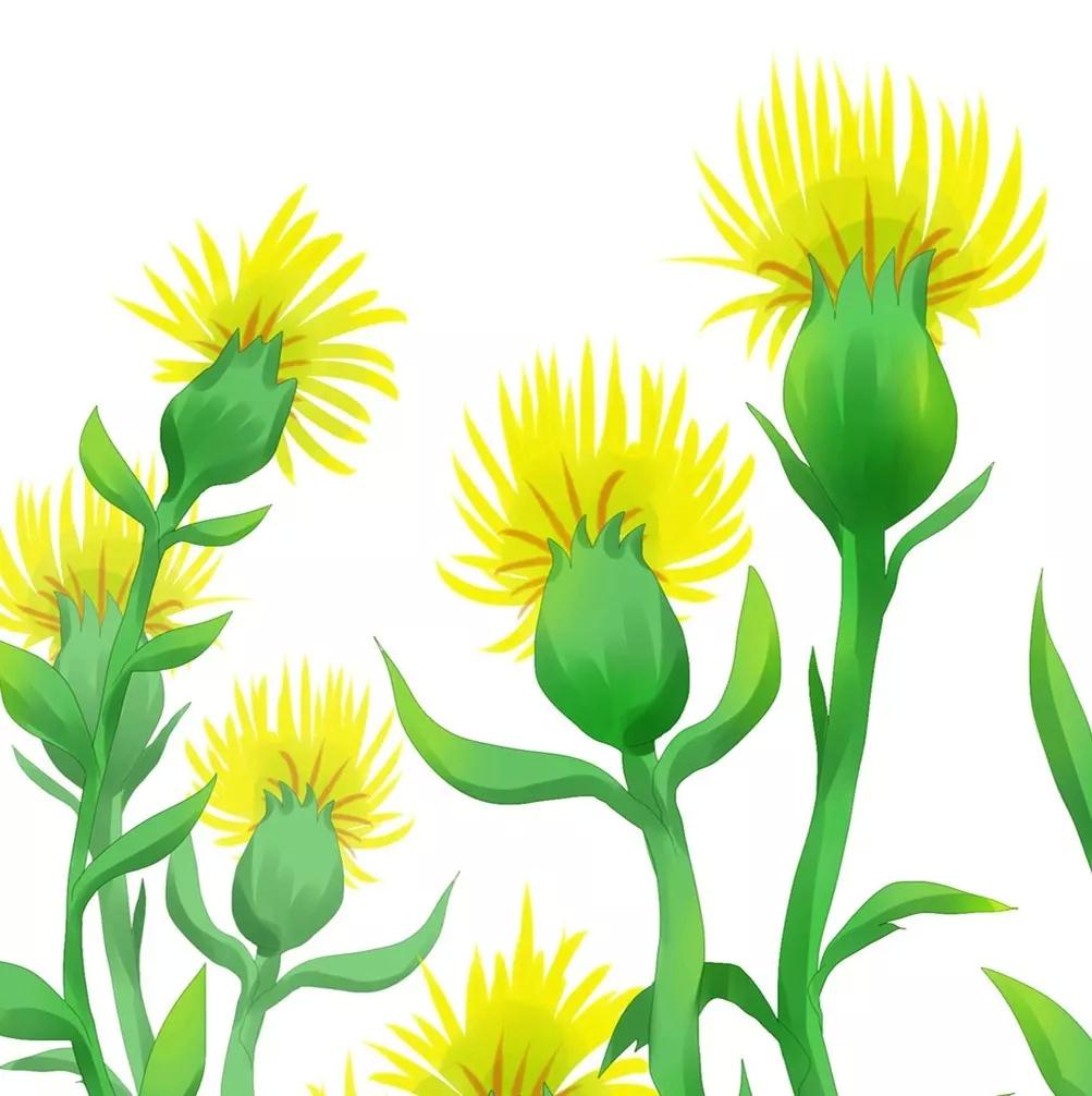 判断一个男人强不强,判断一个男人是否优秀