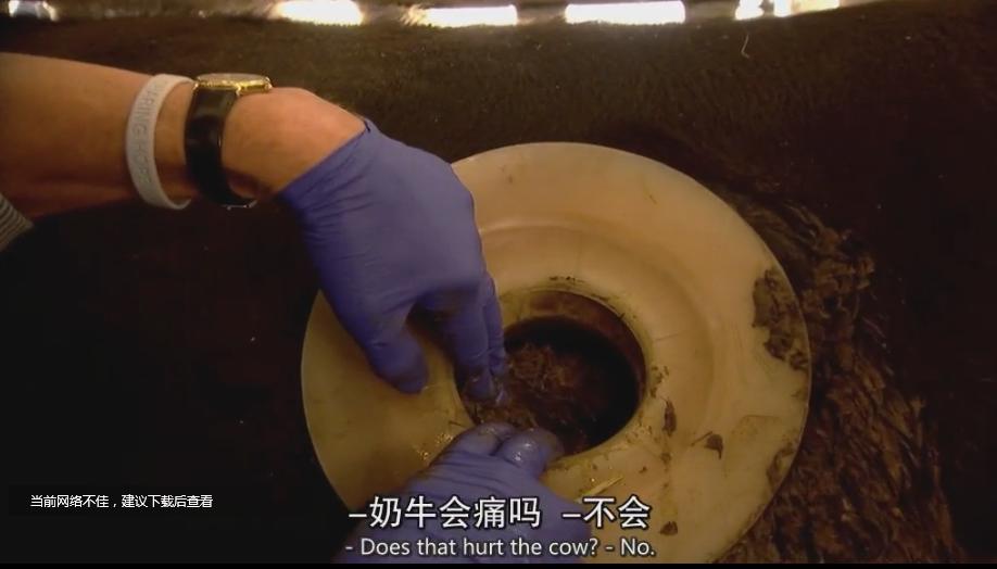 美国人贫穷为什么会胖,美国人为什么越吃越胖