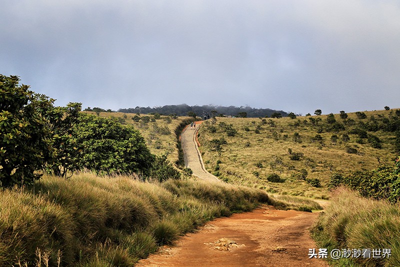 去斯里兰卡旅游攻略,1月去斯里兰卡旅游的最佳攻略