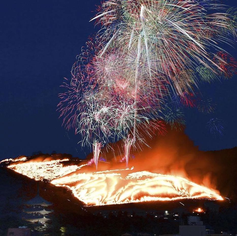 为了一群鹿而去一座城!日本奈良如何从“穷乡下”逆袭...