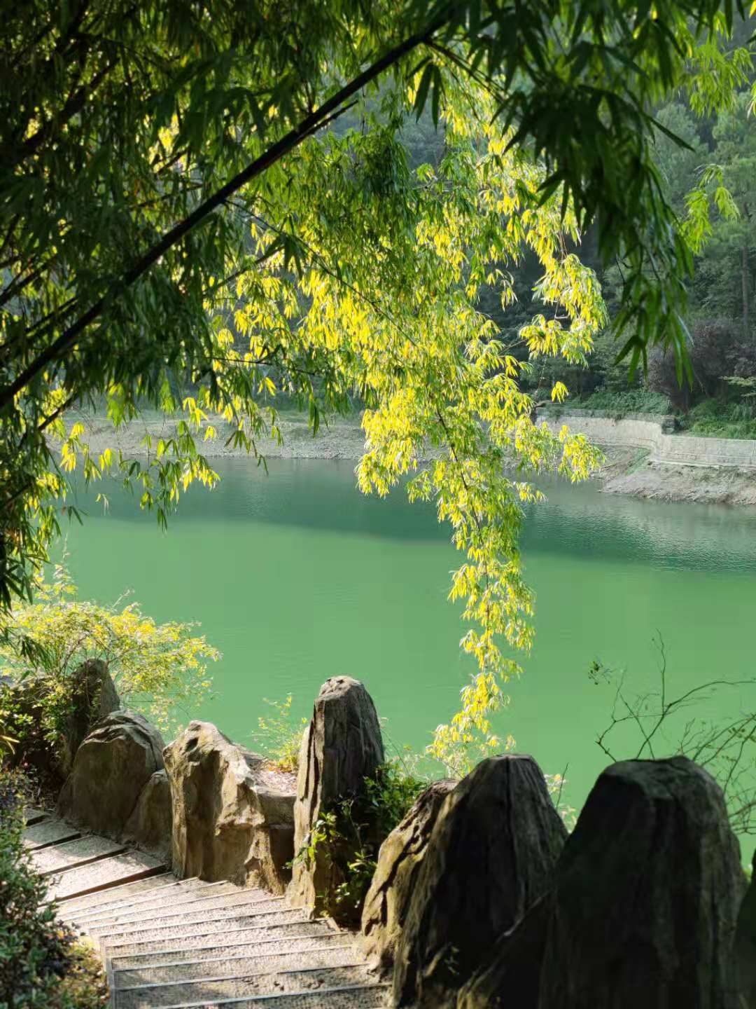 越美好，越艰辛（2021年暑假复盘）