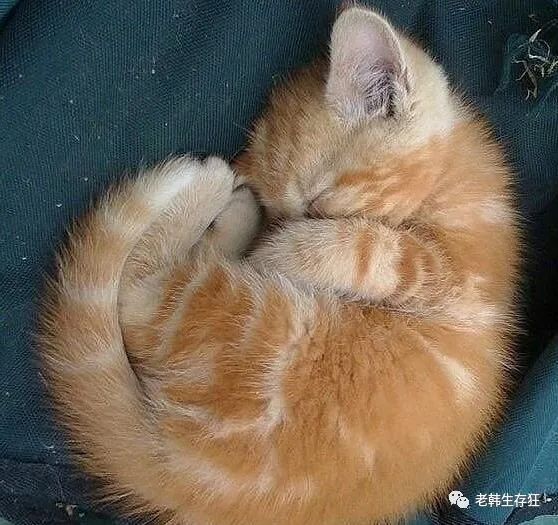 地震求生与自救技巧,生存狂在野外怎么逃生