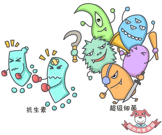 抗生素什么时候服用最好,抗生素什么时候起效果