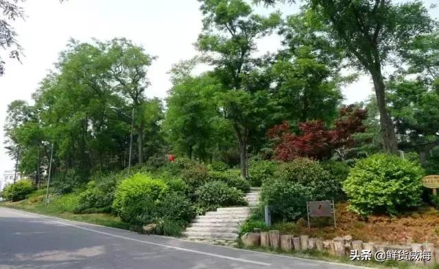 威海60岁免费景点,威海十大网红免费景点