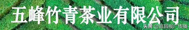 助茶农渡难关，宜昌春茶“百圆惠”上市