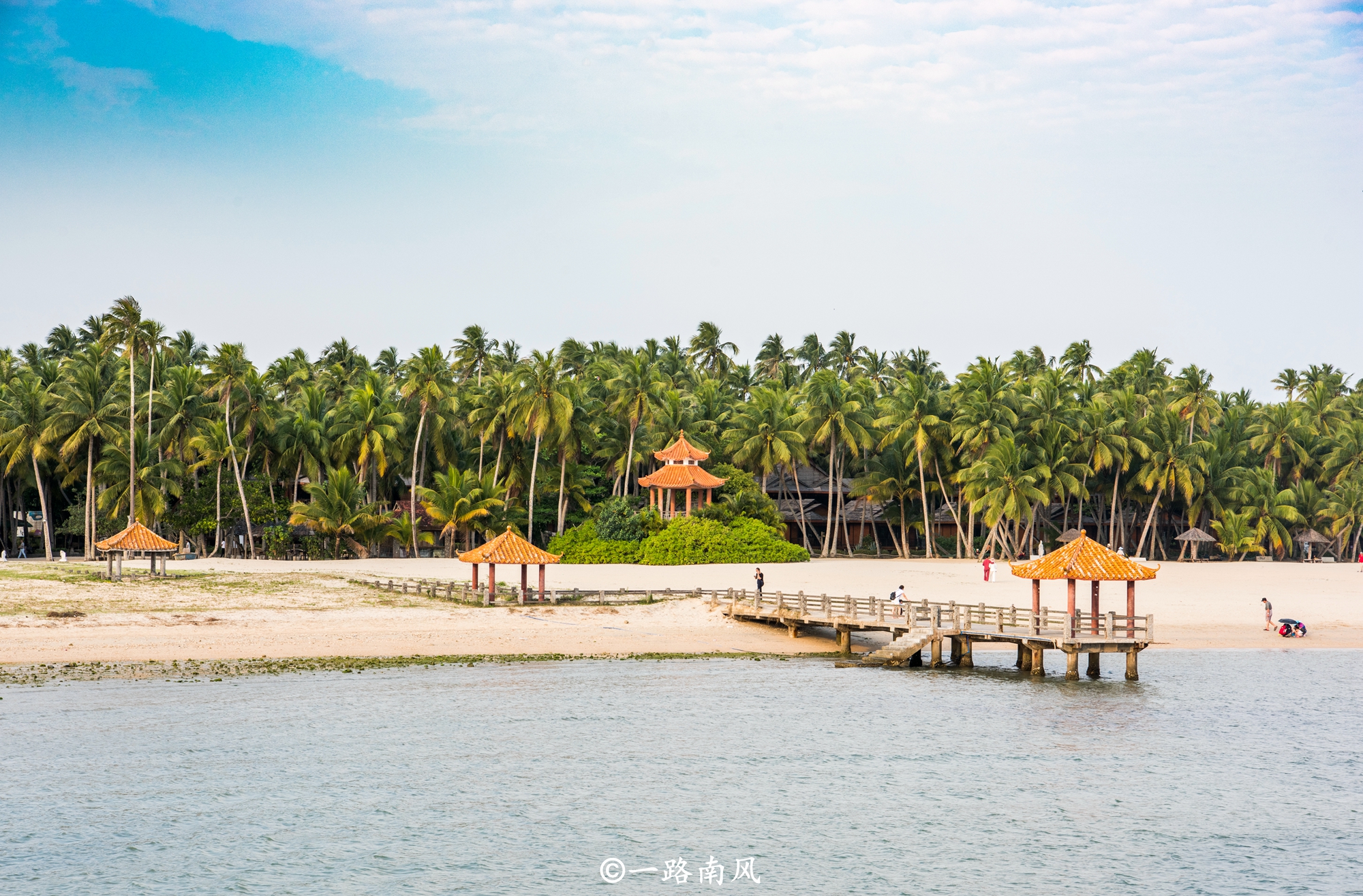 海南椰子最漂亮的地方,海南椰子最多的地方
