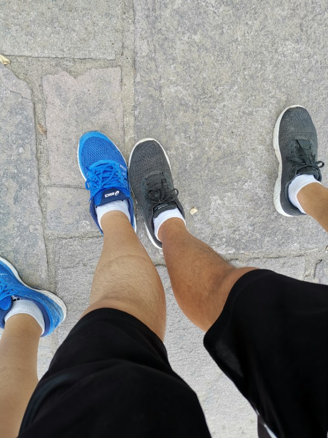 健步鞋美国,斯凯奇第七代健步鞋上市时间