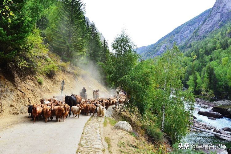 有了这攻略，自驾*藏西**游省心很多