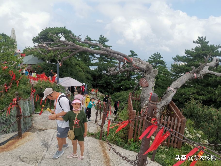 西安到华山自驾旅游攻略,西安有什么旅游景点华山