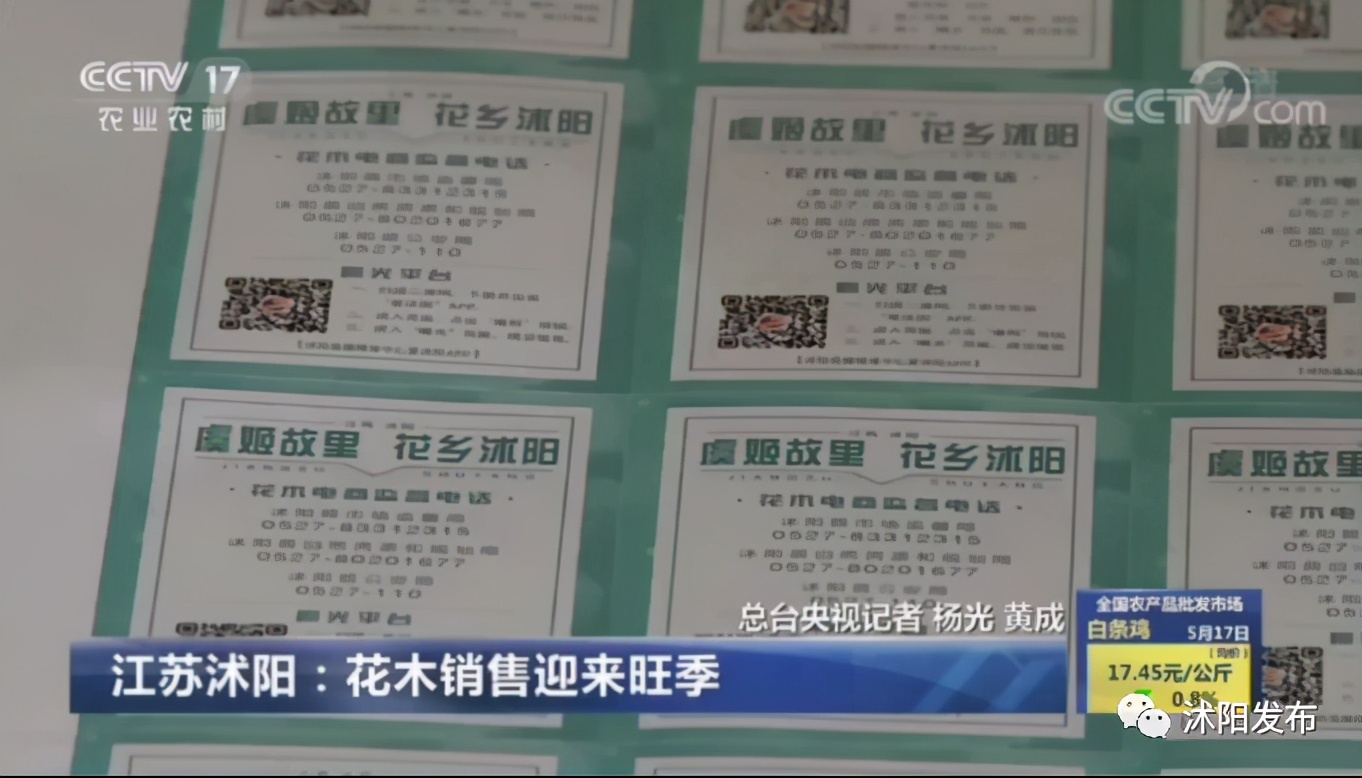 重磅!央视一天两次为沭阳点赞,诚信标签助力沭阳花木转型升级