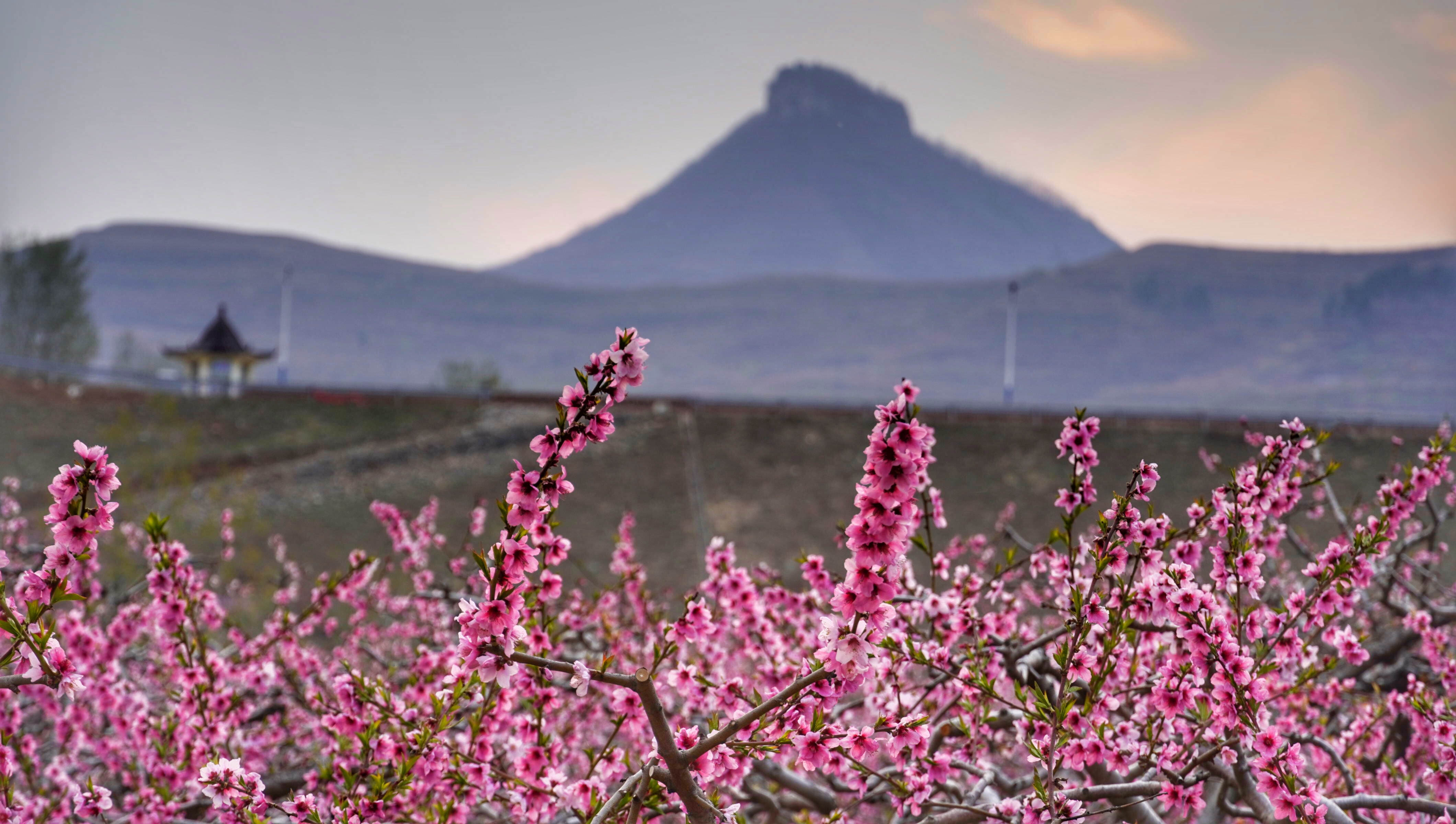 岱崮地貌只有沂蒙山区有吗,沂蒙山世界地质公园岱崮园区