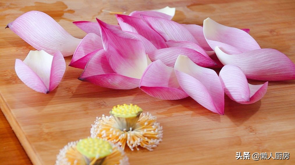 既能观赏又能吃的荷花,什么样的荷花可以吃