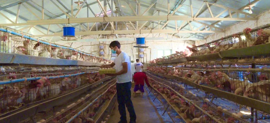 同心奔小康|自主创业让生活越来越好