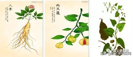 医生说贫血狠了容易得血液病,老年人为什么会重度贫血