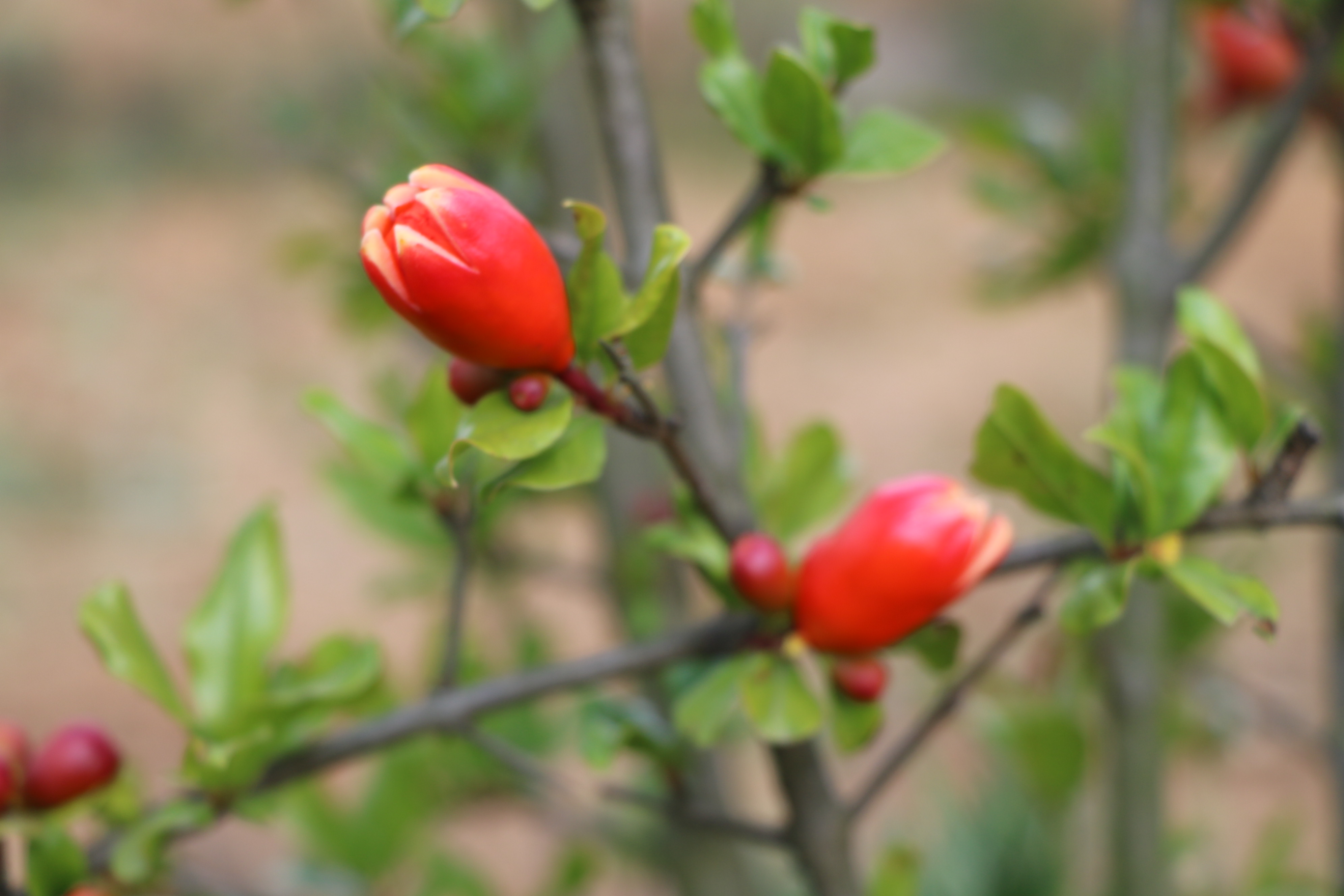 盘州企业数字化转型,盘州市产业