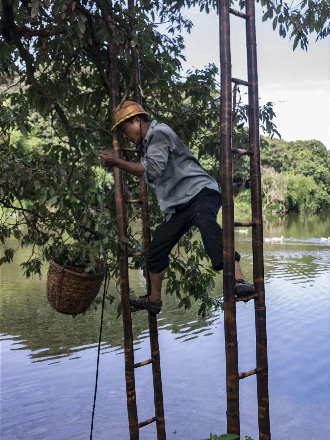 流传千年的风味,那一抹不变幻的甜,是莆田人心头好