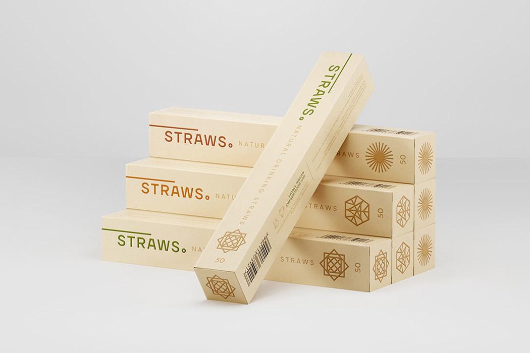 爱护地球环保主题手工,地球环保设计