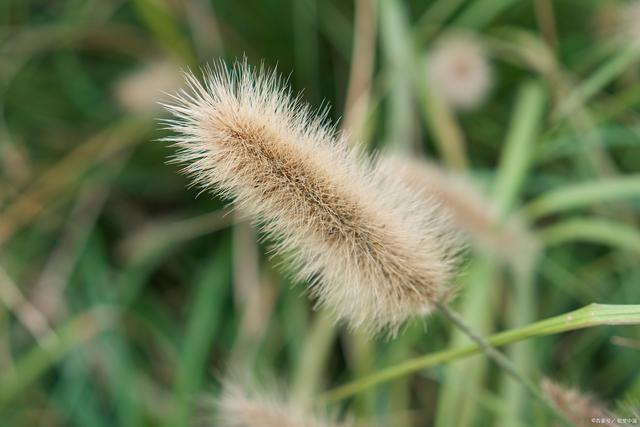 你想活出怎样的人生宫崎骏影评,宫崎骏书籍你想活出怎样的人生