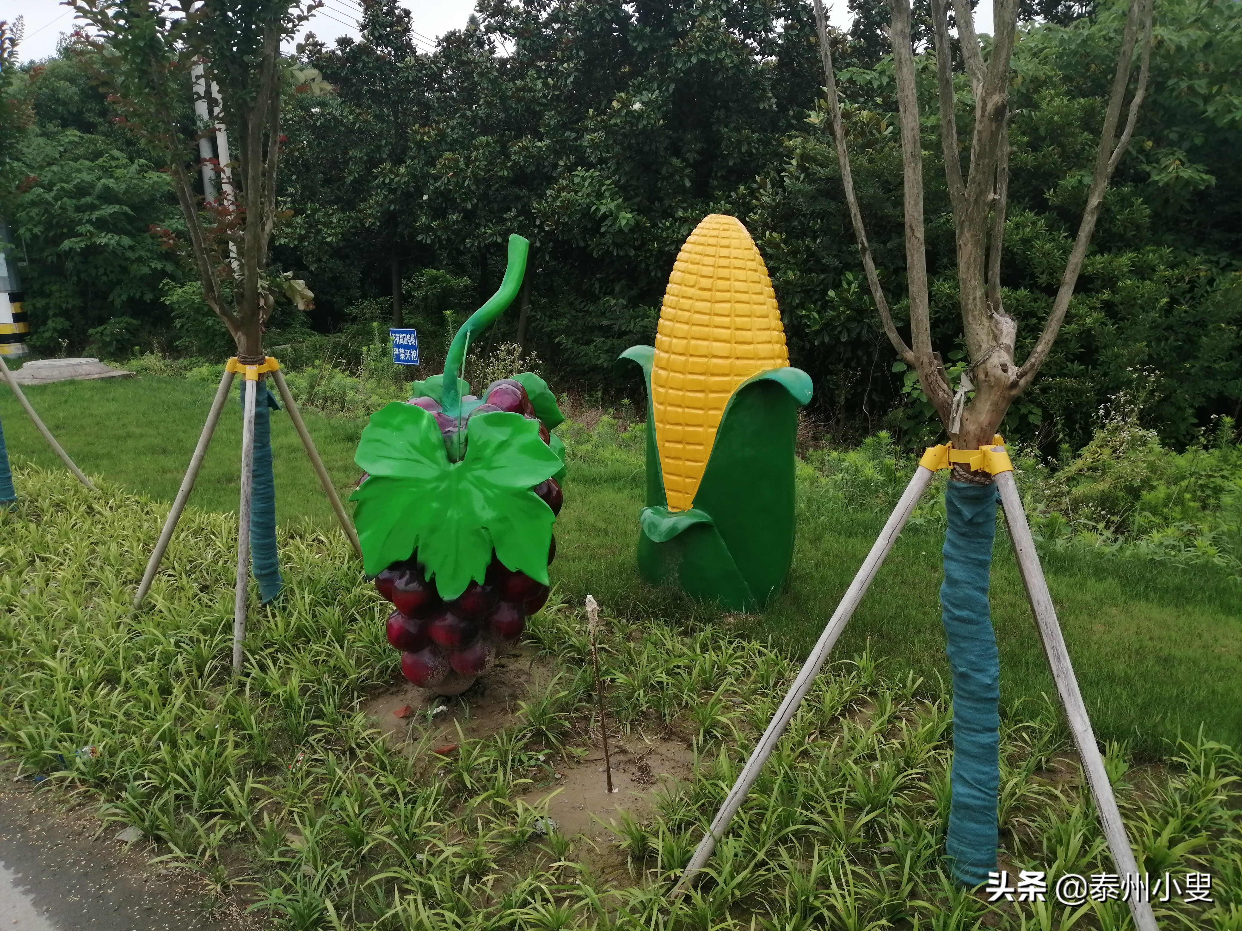 麒麟山绿道骑行,骑行路线麒麟区
