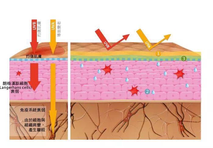 毛孔粗大怎么护肤改善肤质,毛孔粗大怎么护肤才是正确的方法