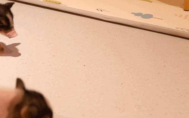 kfc鍏,kfc鍏鍜栧暋