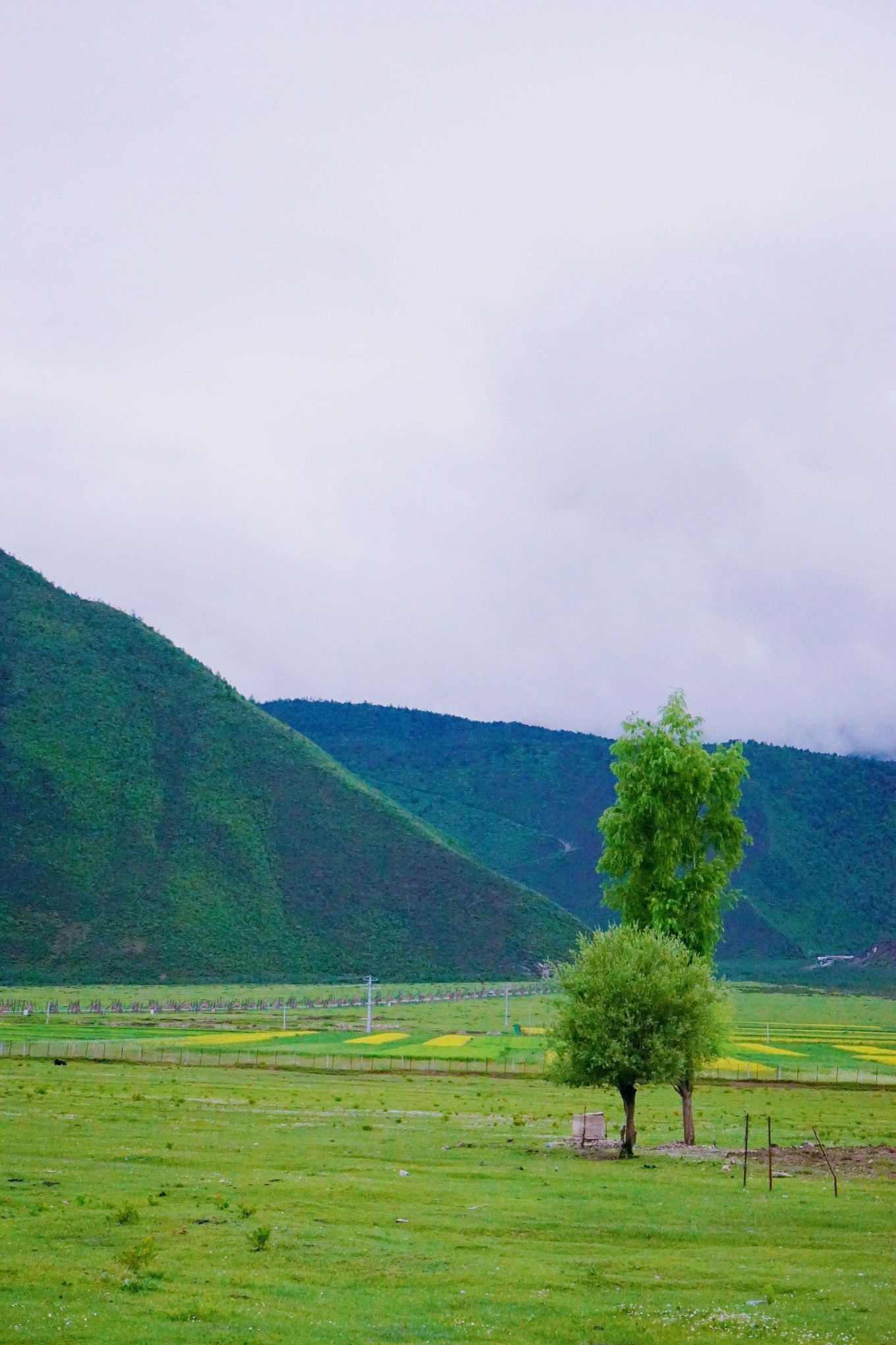 云南治愈旅行攻略,云南慢生活旅游推荐