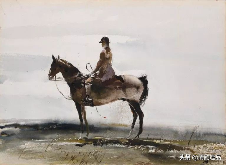 类似安德鲁怀斯的画家,安德鲁怀斯画家视频