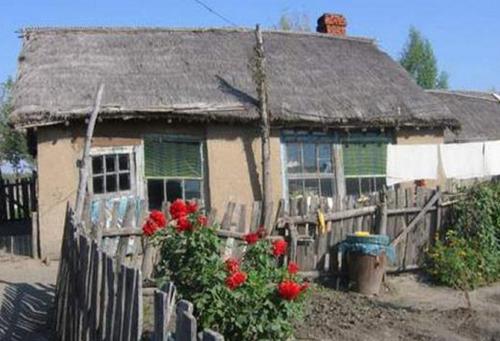 东北泥草房图片,80年代东北农村真实生活草房