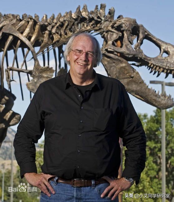 世界上要怎样才能重新复活恐龙,用琥珀复活恐龙动画