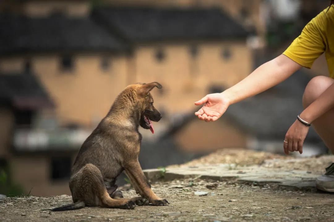 歙县寻古三日游最佳路线,念念不忘自驾游