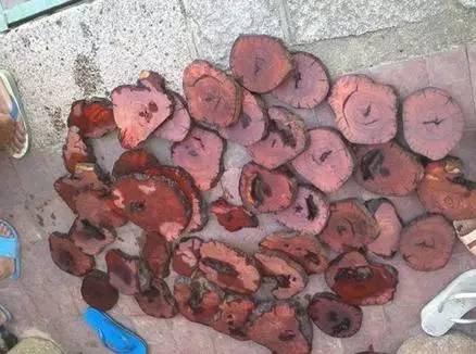 一夜暴富赌石案例,一夜暴富赌石真实经历