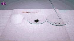 化学反应微观动画图,化学动图