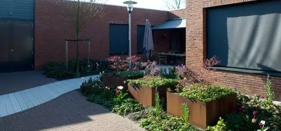 全球首家失忆小镇，所有居民都忘了自己是谁、来自哪里….