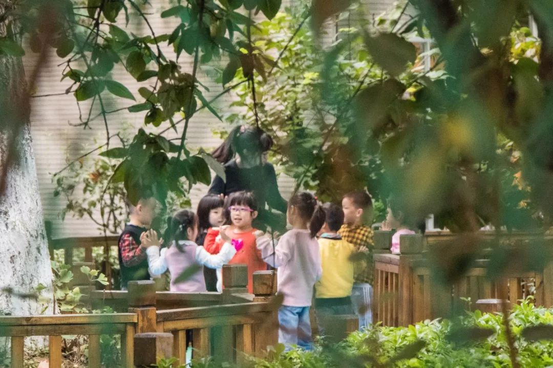 长长长长长白街,串起秦淮白下的爱恨情仇