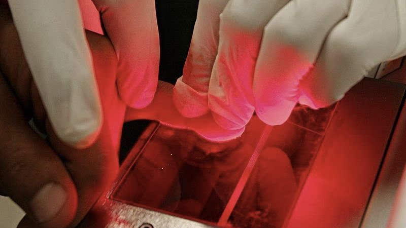 最新加拿大旅游签证需要多少资金,近期加拿大签证新政策