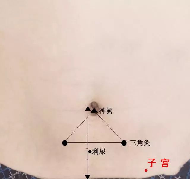 艾和不艾，决定了女人两种不同的人生！如果爱请深“艾”