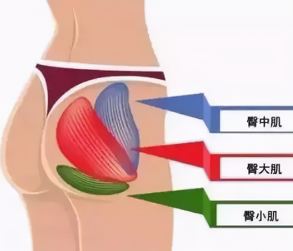 如何提高臀线改善扁塌臀部,通过臀部训练可以把臀线提高多少