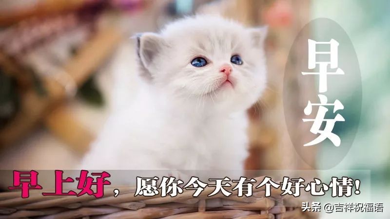 早晨问候语早上好微信短语,清晨最新早上好问候祝福语句