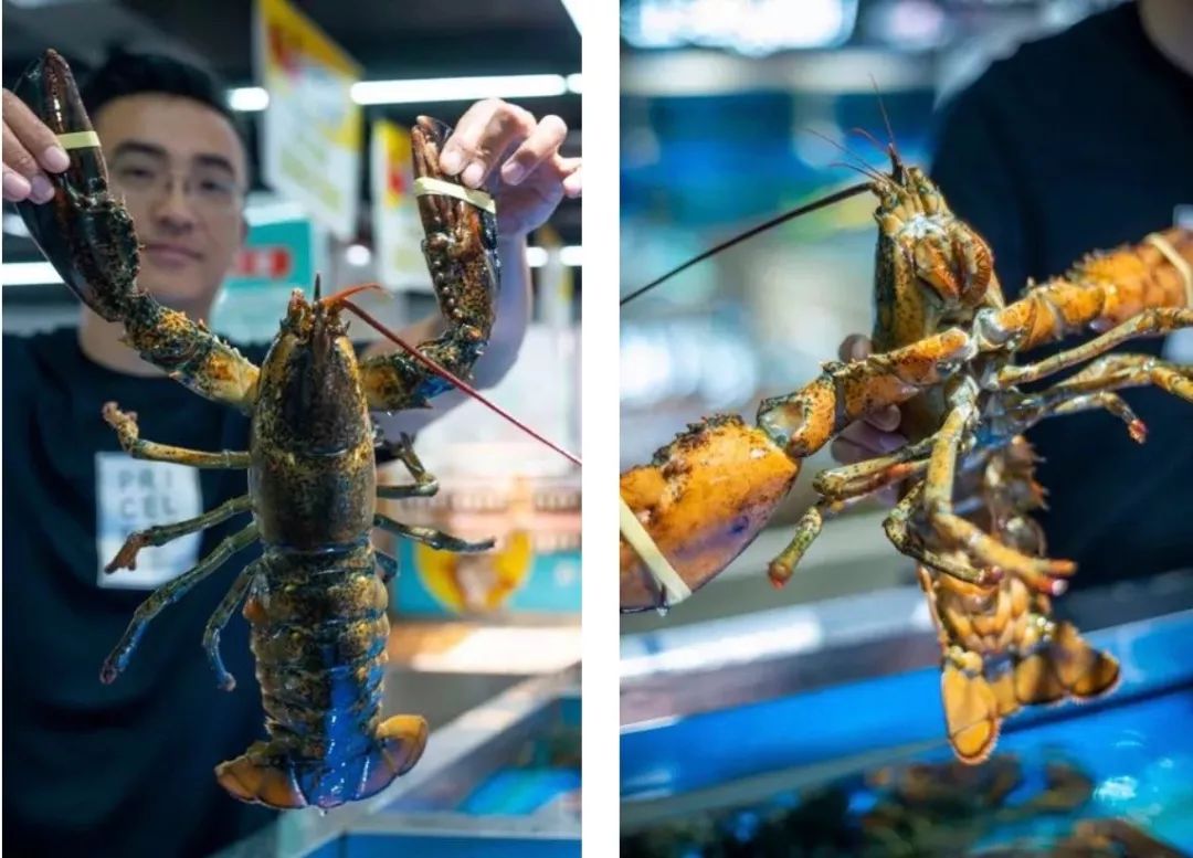 大连人都喜欢的平价海鲜超市，现捞现歹不是梦