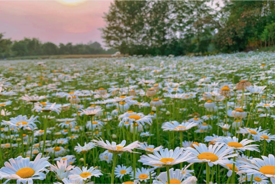 五一小众宝藏旅行地成都周边,成都旅行打卡地