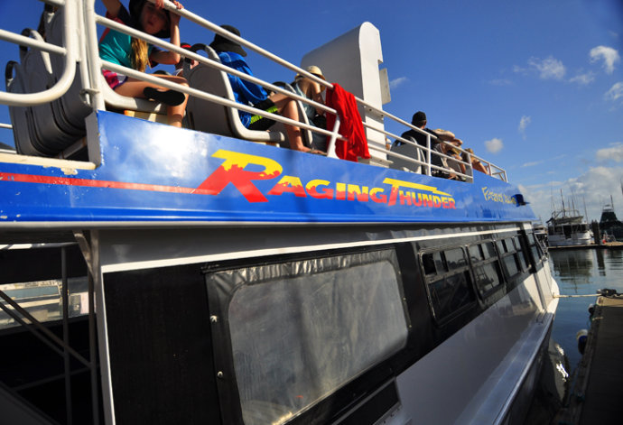 全民热遗|大堡礁上有个翡翠岛,绝美好玩,还是海龟康复中心