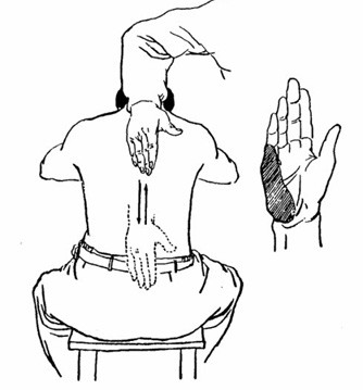 零基础学习中医按摩,零基础学中医按摩