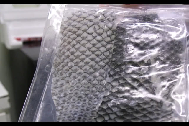 罗非鱼鱼皮治疗烧伤价格,罗非鱼鱼皮为什么对烧伤管用