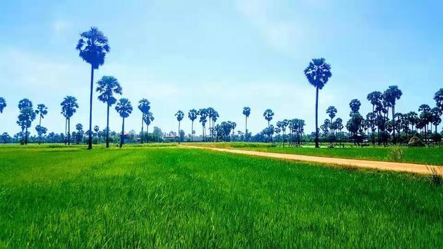 去柬埔寨需要准备什么,想去柬埔寨做生意