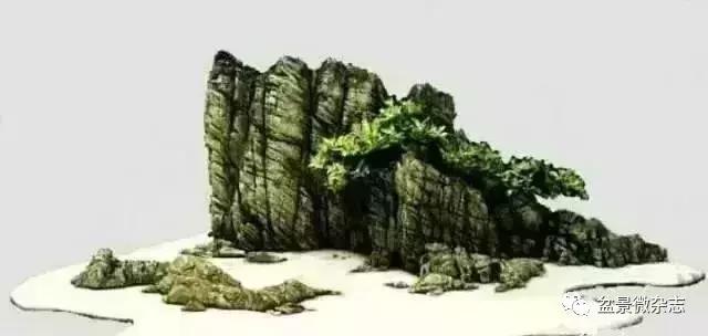 盆景大师的独到眼光,盆景技艺