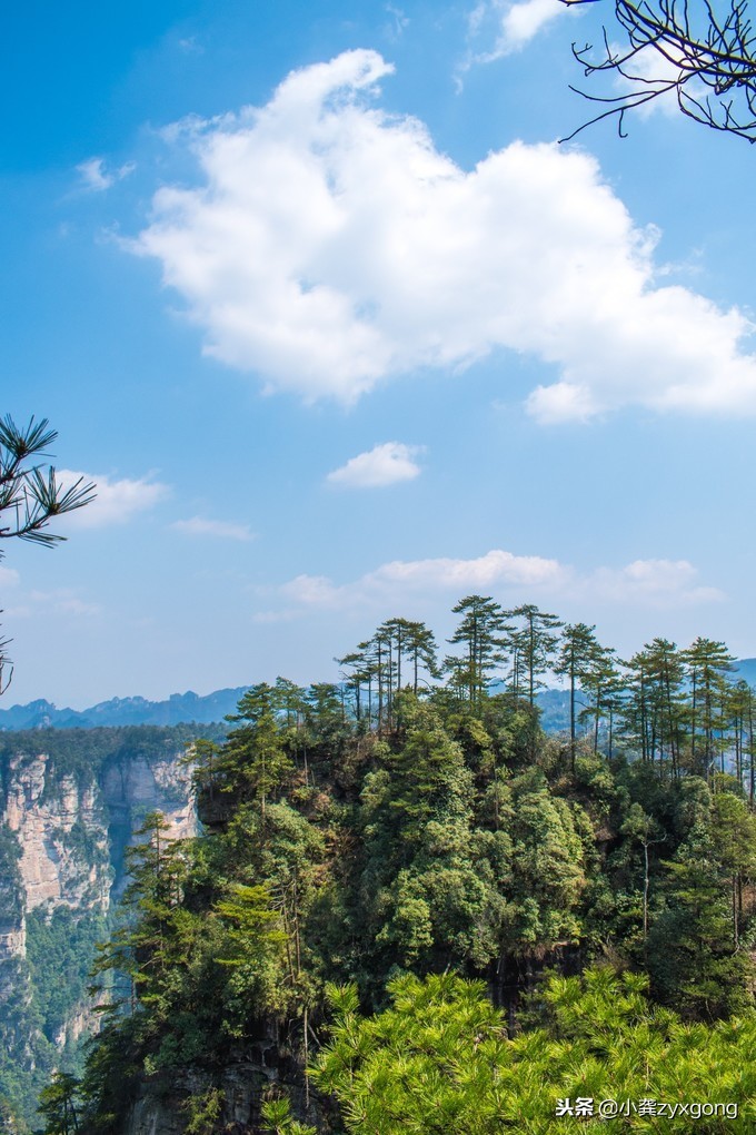 张家界凤凰旅游交通攻略图,湖南长沙张家界凤凰旅游攻略图文