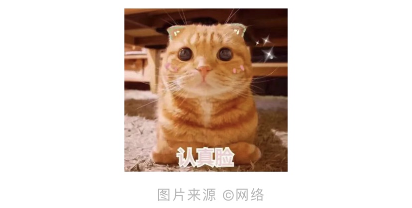 矿泉水瓶、毛巾、橡皮筋…家中随手小物件，也能成为“健身利器”