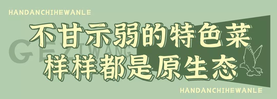 秋冬来袭！来碗养生汤！吃着鸽子喝着汤！请客有面子就到鸽子王